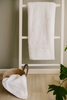 White towel hanging on a white towel rack against a neutral wall with a plant in the corner.